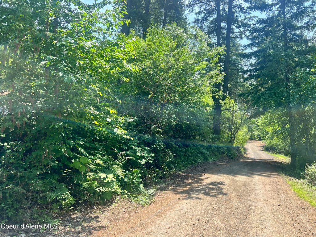 00NKA S Lakeview Ln, Harrison, ID 83833 photo 9