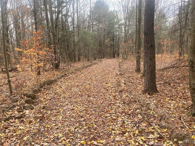 5601 Pigtail Road, Friendship, NY 14739