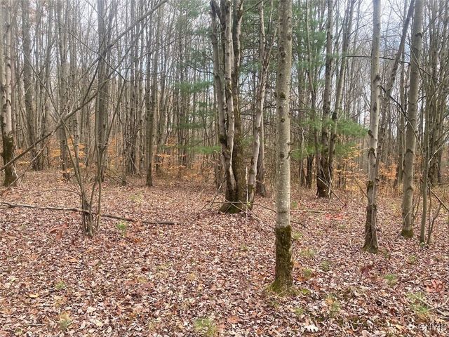 5601 Pigtail Road, Friendship, NY 14739