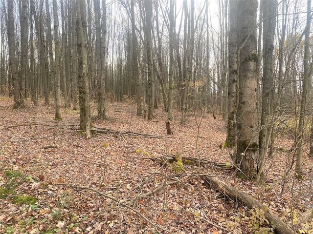 5601 Pigtail Road, Friendship, NY 14739