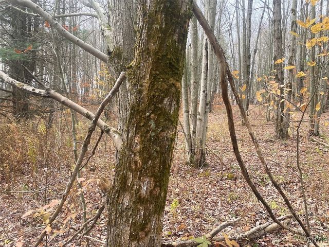 5601 Pigtail Road, Friendship, NY 14739