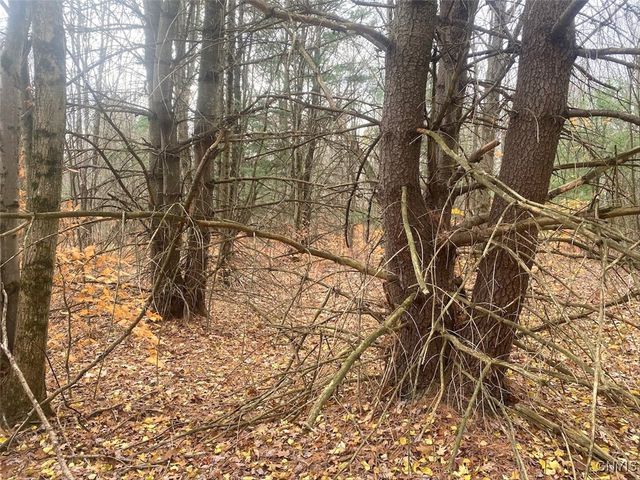 5601 Pigtail Road, Friendship, NY 14739