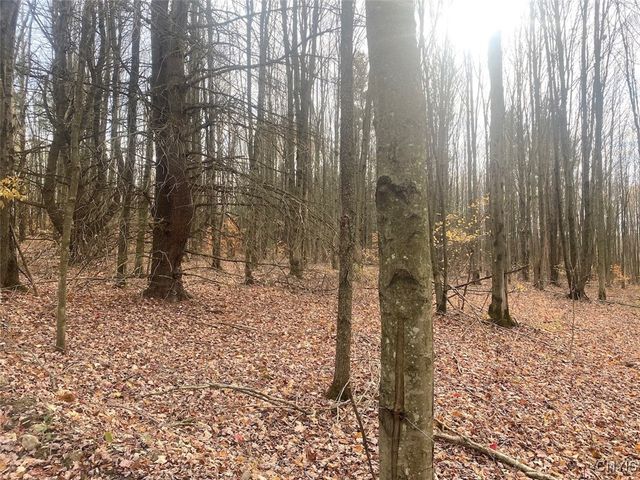 5601 Pigtail Road, Friendship, NY 14739