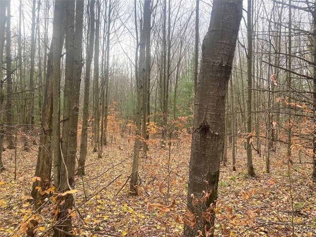 5601 Pigtail Road, Friendship, NY 14739