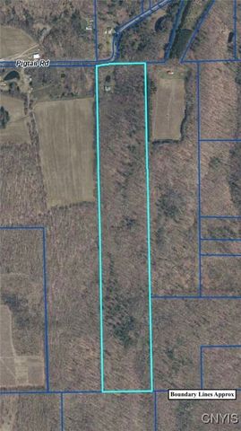 5601 Pigtail Road, Friendship, NY 14739