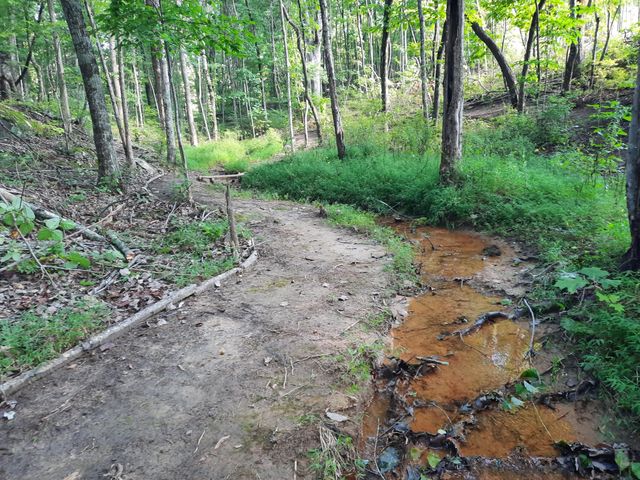 220 Bear Crawl Road Rb 28, Jasper, TN 37347