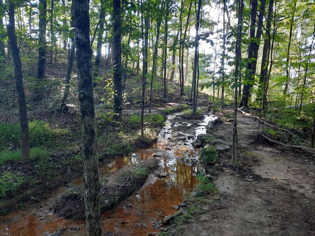 220 Bear Crawl Road Rb 28, Jasper, TN 37347