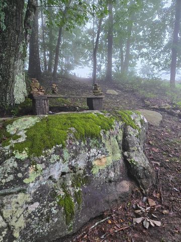220 Bear Crawl Road Rb 28, Jasper, TN 37347