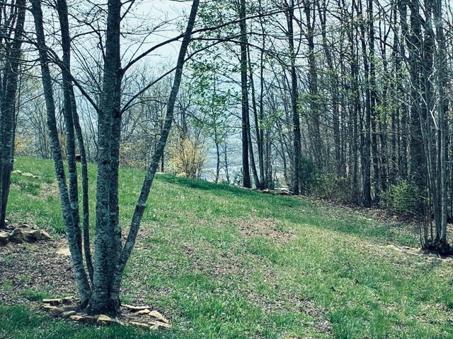 220 Bear Crawl Road Rb 28, Jasper, TN 37347