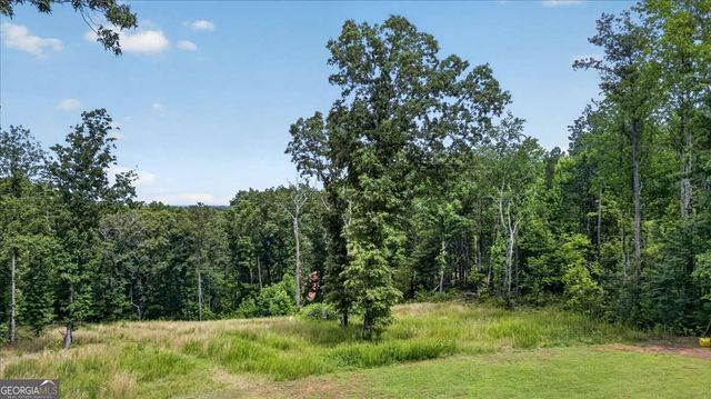 930 Dry Pond Lane, Canton, GA 30114