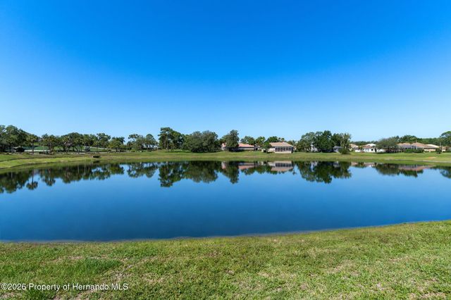 10081 Georgetown Court, Weeki Wachee, FL 34613