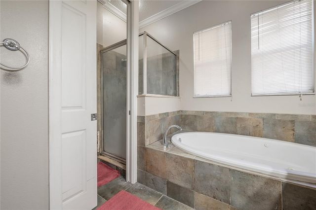 7402 N CENTRAL AVENUE, Tampa, FL 33604