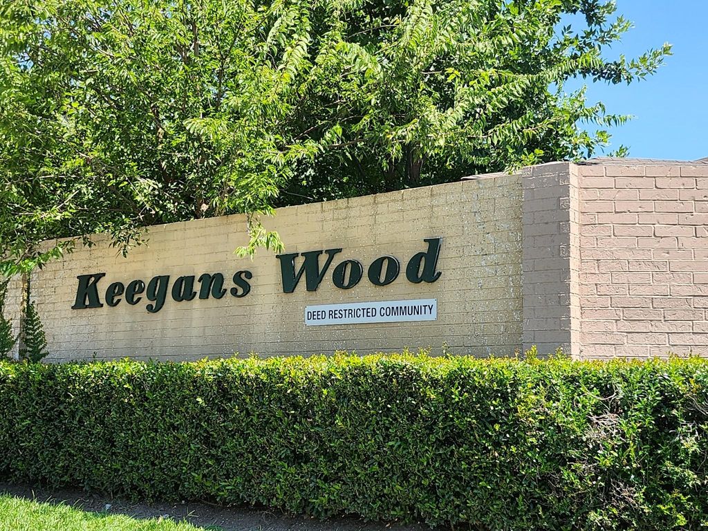 13950 Ashdale Lane, Houston, TX 77083