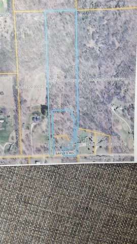Parcel A Sayles Road, Ionia, MI 48846