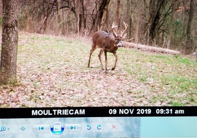 Parcel A Sayles Road, Ionia, MI 48846