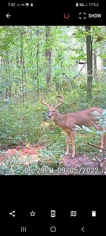 Parcel A Sayles Road, Ionia, MI 48846