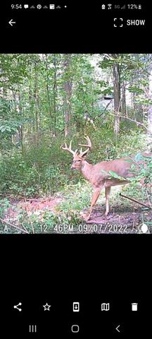 Parcel A Sayles Road, Ionia, MI 48846