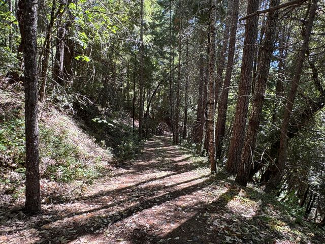 Caves Highway, Cave Junction, OR 97523