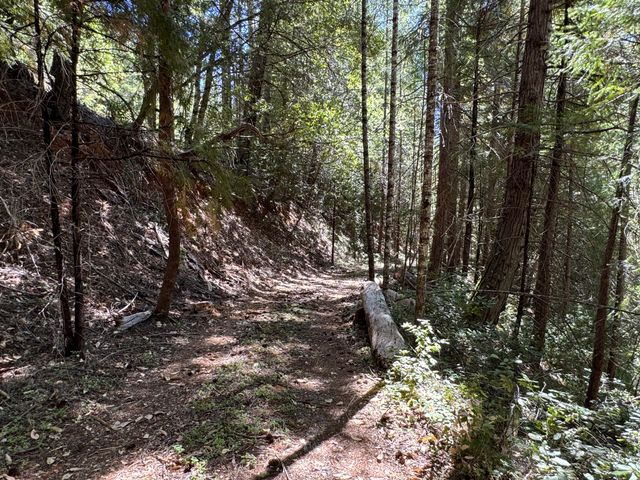 Caves Highway, Cave Junction, OR 97523