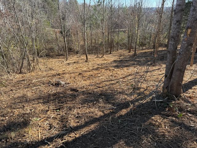 14 Turkey Run, Flintstone, GA 30725