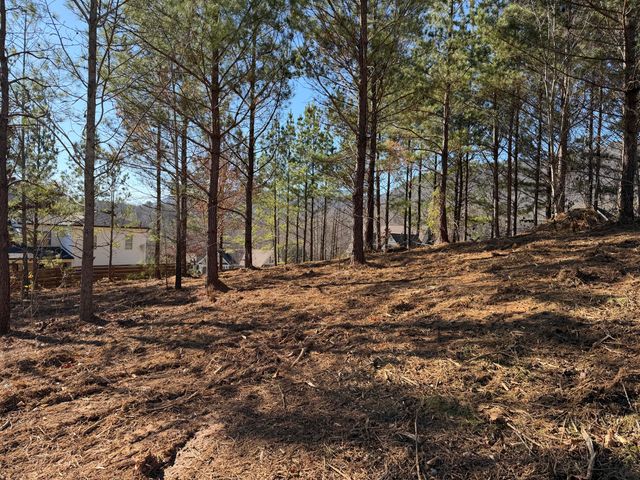 14 Turkey Run, Flintstone, GA 30725