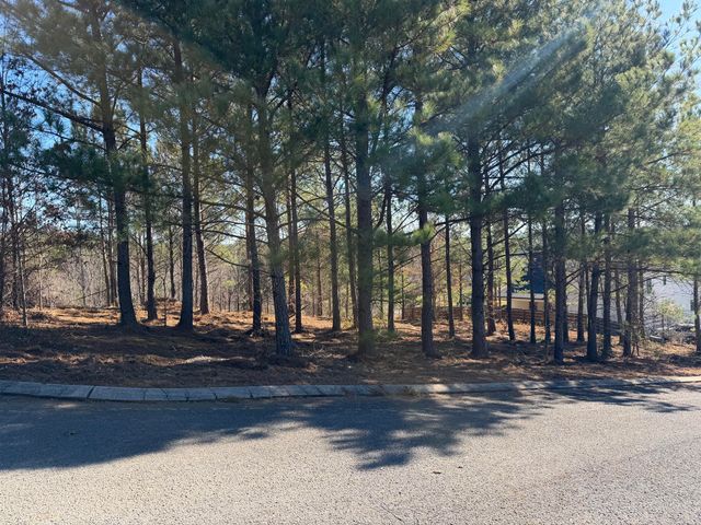 14 Turkey Run, Flintstone, GA 30725