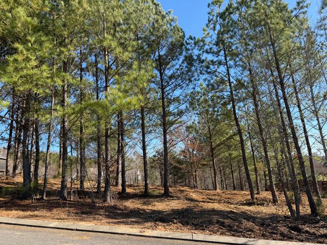 14 Turkey Run, Flintstone, GA 30725