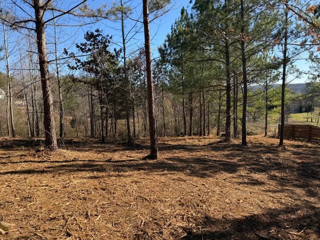 14 Turkey Run, Flintstone, GA 30725