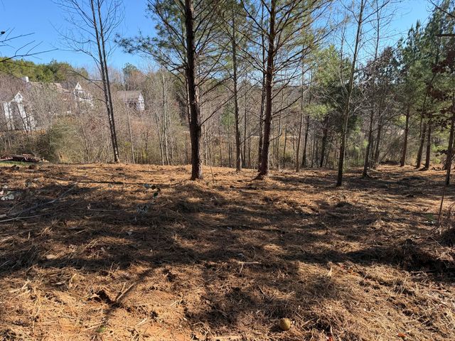 14 Turkey Run, Flintstone, GA 30725