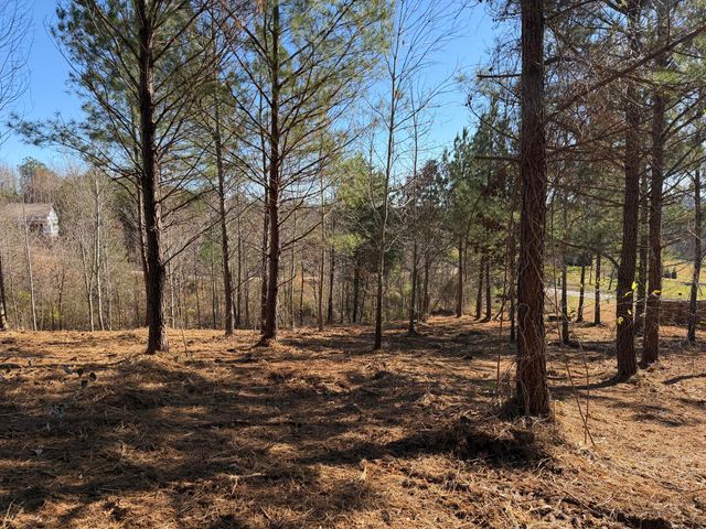 14 Turkey Run, Flintstone, GA 30725