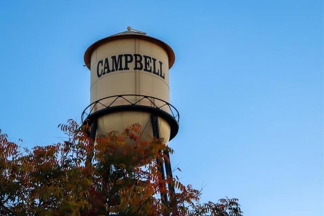1141 Virginia Avenue, Campbell, CA 95008