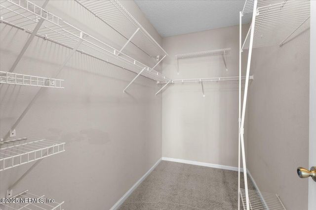 575 OAKLEAF PLANTATION Parkway 901, Orange Park, FL 32065