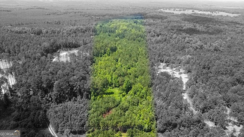 2022 Highway 41 N, Forsyth, GA 31029