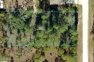 16379 Crane Road, Weeki Wachee, FL 34614