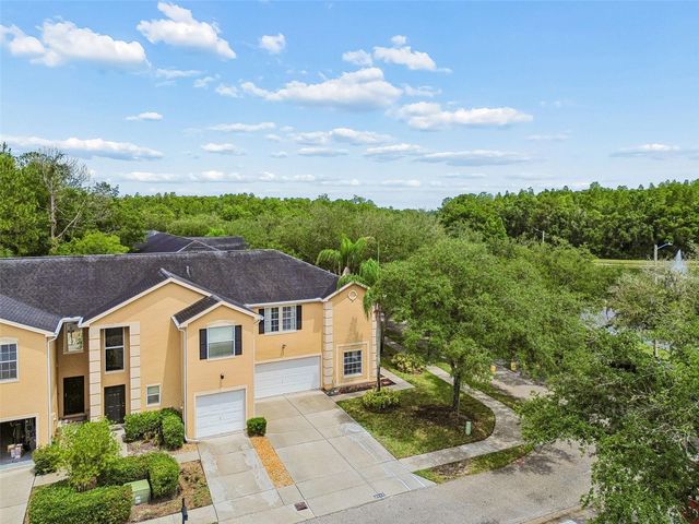 6224 CLIFTON PALMS DRIVE, Tampa, FL 33647