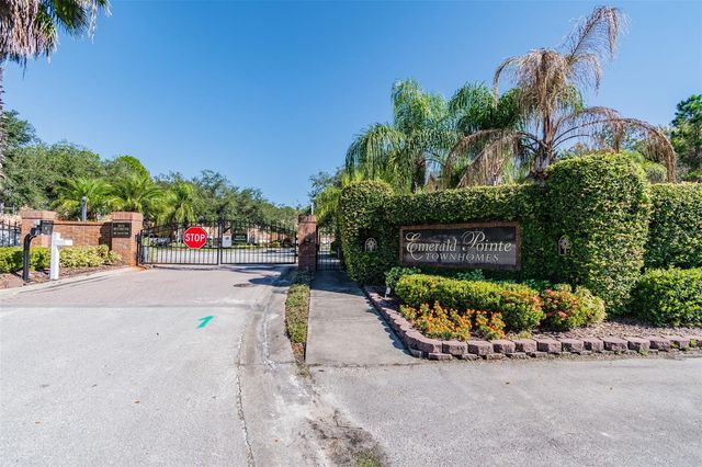 6224 CLIFTON PALMS DRIVE, Tampa, FL 33647