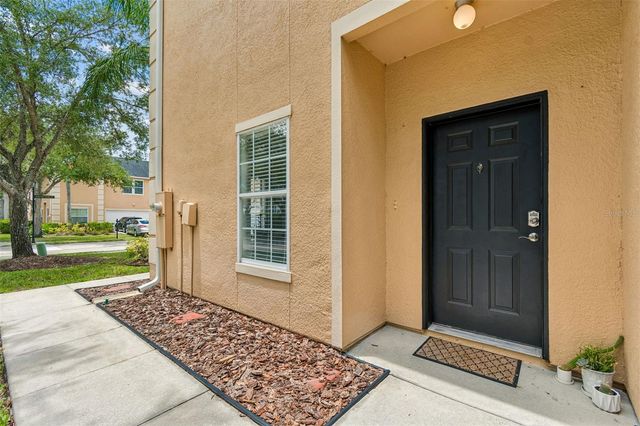 6224 CLIFTON PALMS DRIVE, Tampa, FL 33647