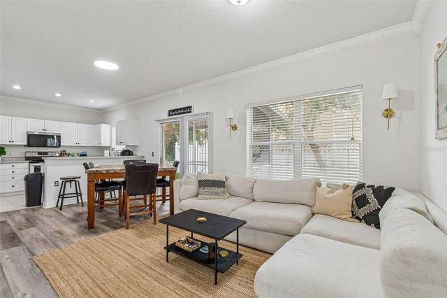 6224 CLIFTON PALMS DRIVE, Tampa, FL 33647