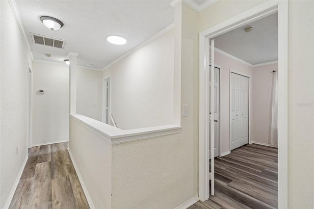 6224 CLIFTON PALMS DRIVE, Tampa, FL 33647