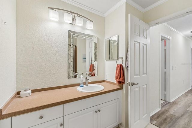 6224 CLIFTON PALMS DRIVE, Tampa, FL 33647