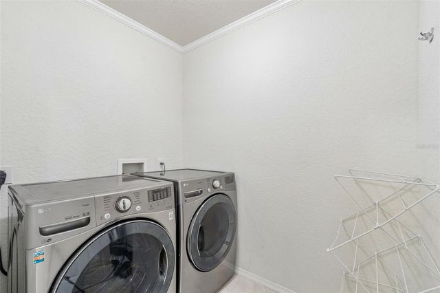 6224 CLIFTON PALMS DRIVE, Tampa, FL 33647