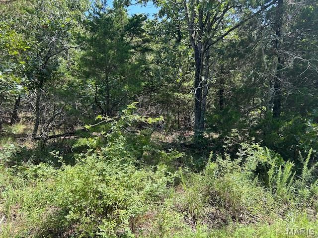 1 Private Rd. 9516, Fredericktown, MO 63645