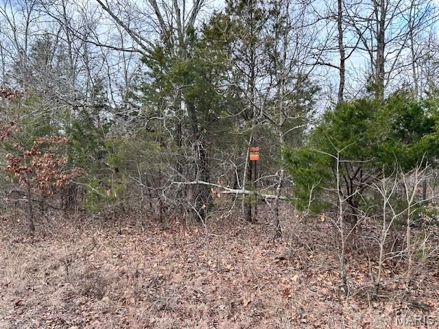 1 Private Rd. 9516, Fredericktown, MO 63645