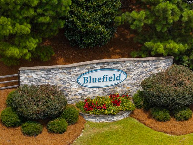 1023 Tanreall Drive, Lexington, SC 29073