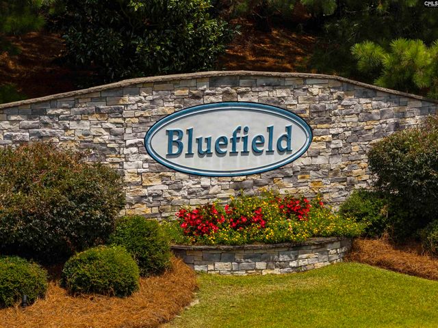 1023 Tanreall Drive, Lexington, SC 29073