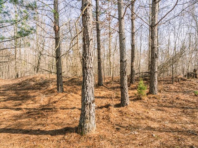 0 Sulphur Creek Road, Big Sandy, TN 38221