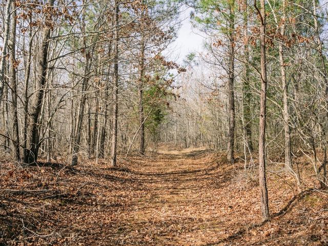 0 Sulphur Creek Road, Big Sandy, TN 38221