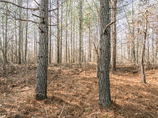 0 Sulphur Creek Road, Big Sandy, TN 38221