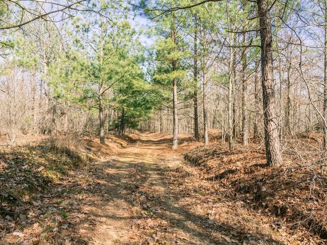 0 Sulphur Creek Road, Big Sandy, TN 38221