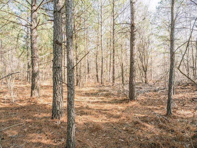 0 Sulphur Creek Road, Big Sandy, TN 38221